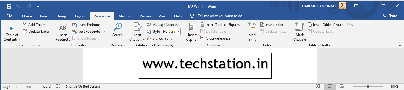 ms-word-references-tab-in-hindi